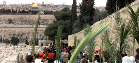 domingoRamos Jerusalen